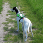 Preview: LimitedEdition Howling Dog Alaska Canicross Harness